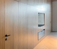 Завершенный проект - декоративные панели и двери скрытого монтажа от Nani в Кишиневе